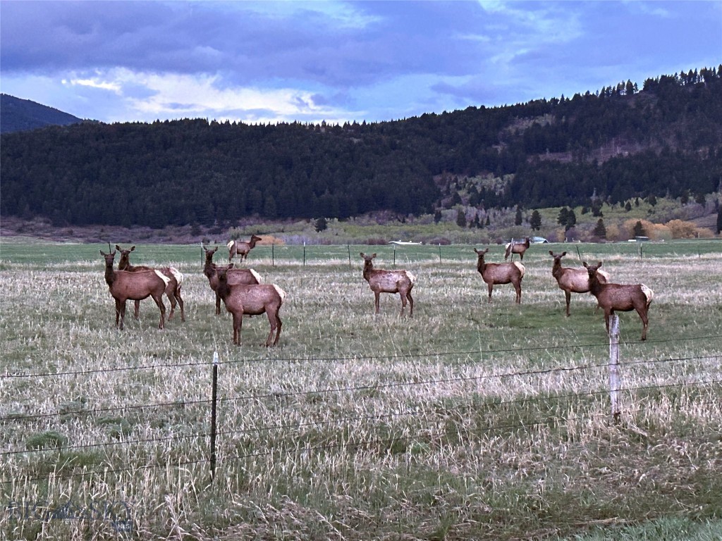 TBD Mount Ellis Lane, Bozeman MT 59715