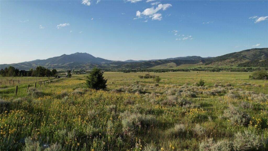 TBD Mount Ellis Lane, Bozeman MT 59715