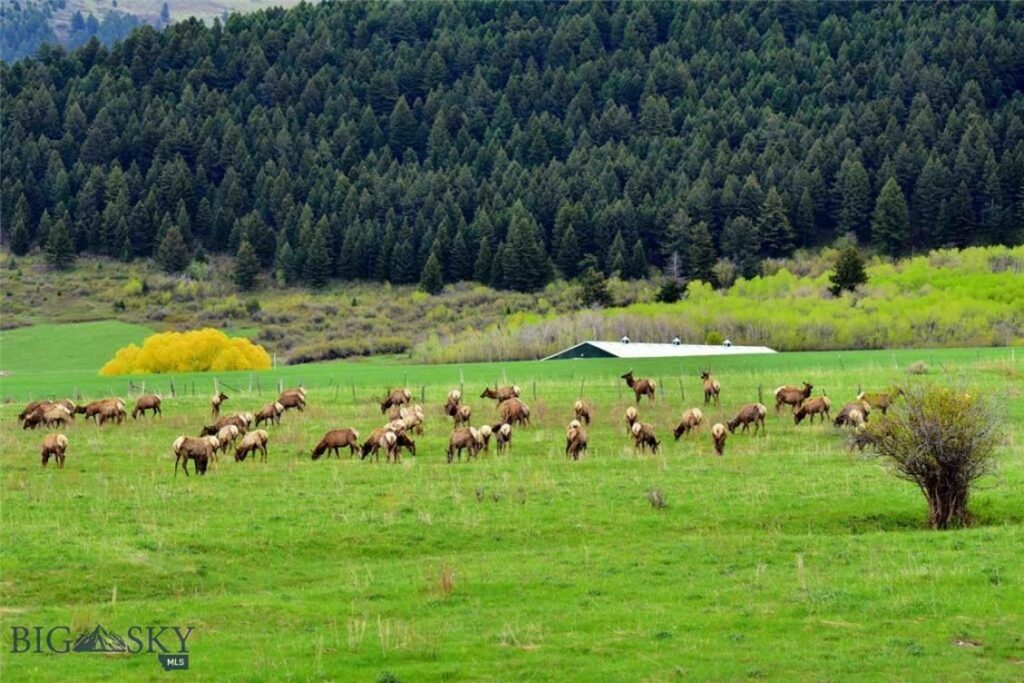 TBD Mount Ellis Lane, Bozeman MT 59715