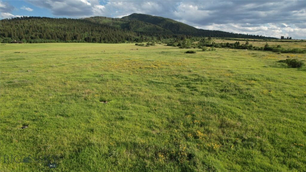 TBD Mount Ellis Lane, Bozeman MT 59715