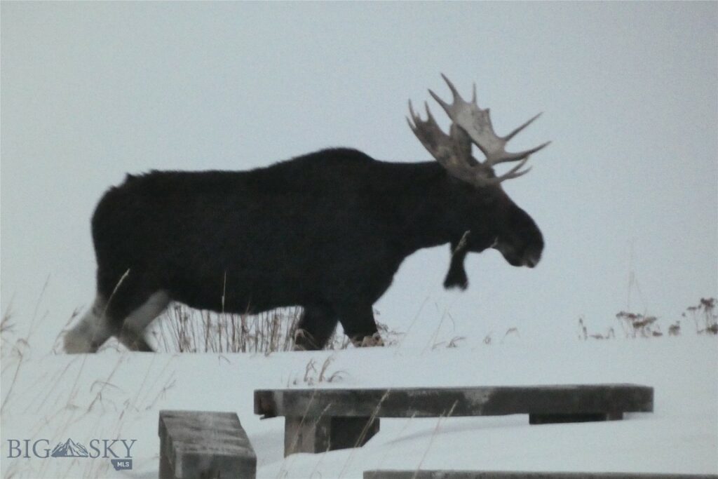 TBD Mount Ellis Lane, Bozeman MT 59715
