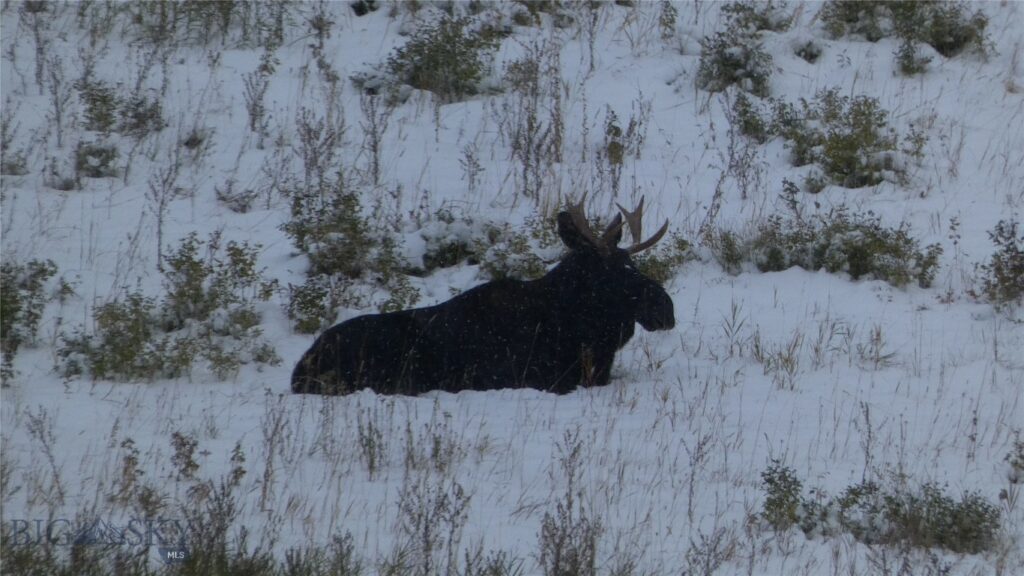 TBD Mount Ellis Lane, Bozeman MT 59715