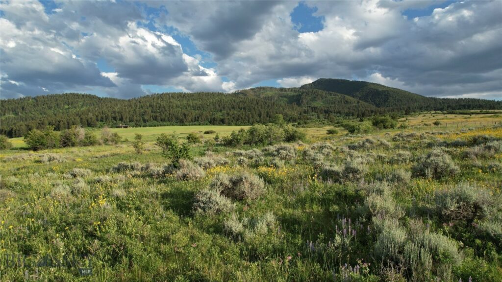 TBD Mount Ellis Lane, Bozeman MT 59715