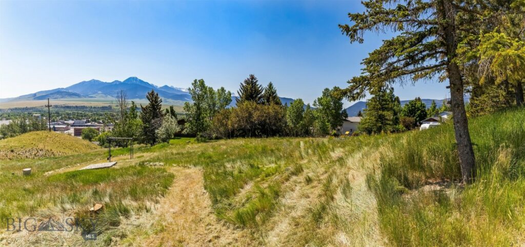 TBD N D Street, Livingston MT 59047