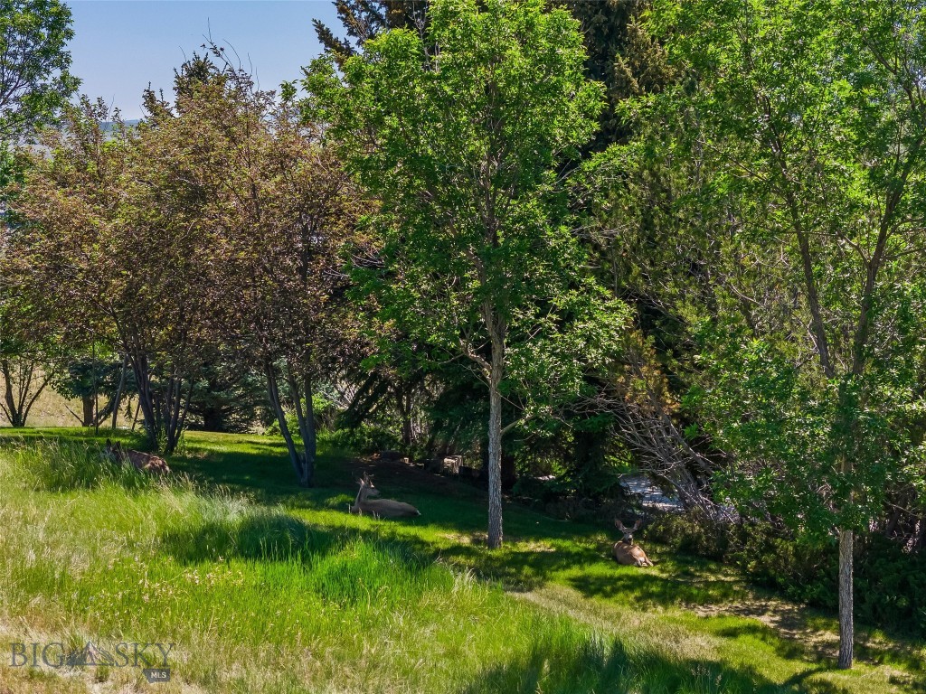 TBD N D Street, Livingston MT 59047