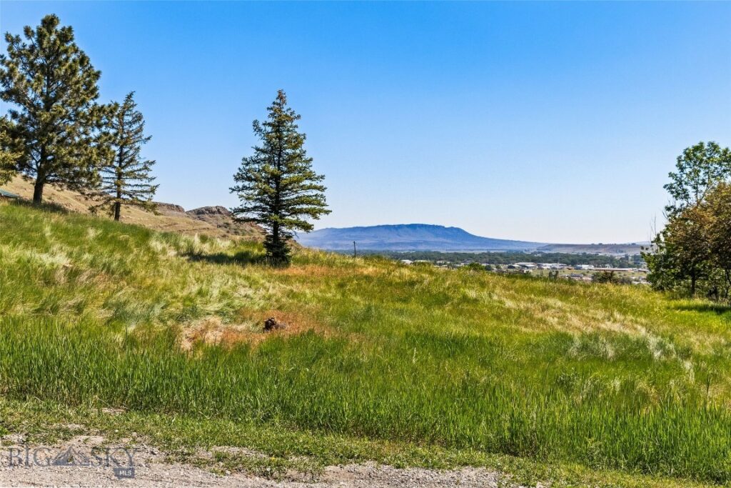 TBD N D Street, Livingston MT 59047