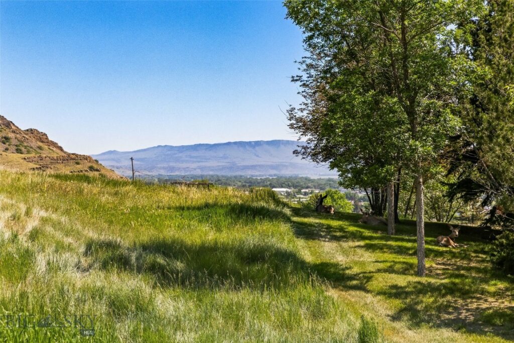 TBD N D Street, Livingston MT 59047