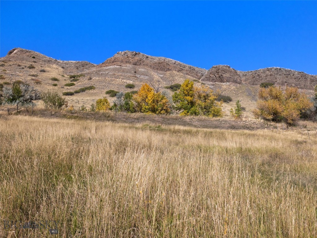 TBD N L Street, Livingston MT 59047