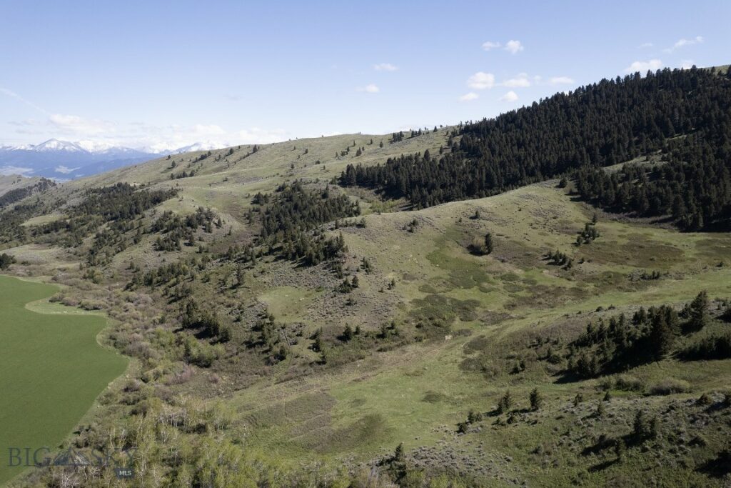 TBD O’Rea Creek Road (Parcel 4), Livingston MT 59047