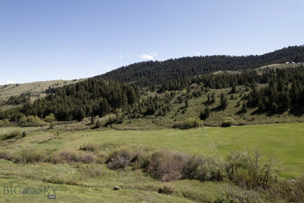 TBD O’Rea Creek Road (Parcel 4), Livingston MT 59047
