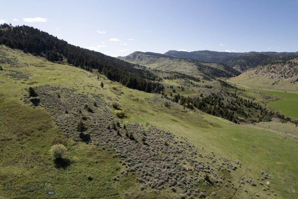 TBD O’Rea Creek Road (Parcel 4), Livingston MT 59047
