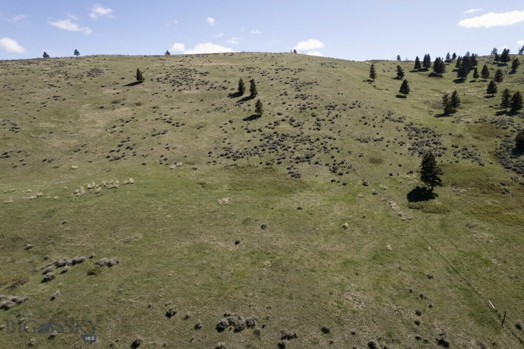 TBD O’Rea Creek Road (Parcel 4), Livingston MT 59047