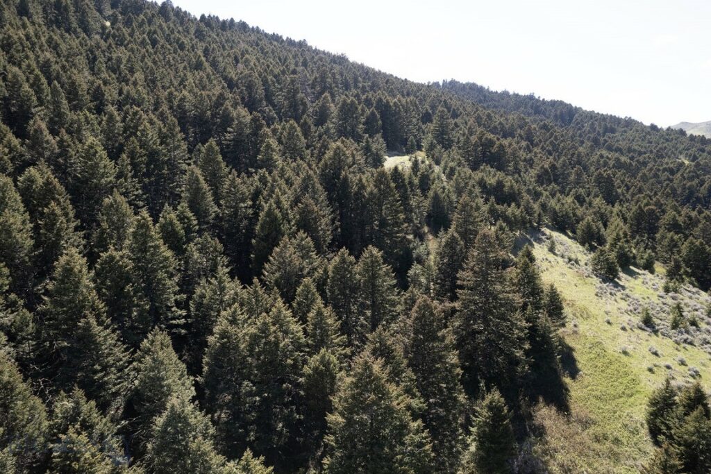 TBD O’Rea Creek Road (Parcel 4), Livingston MT 59047