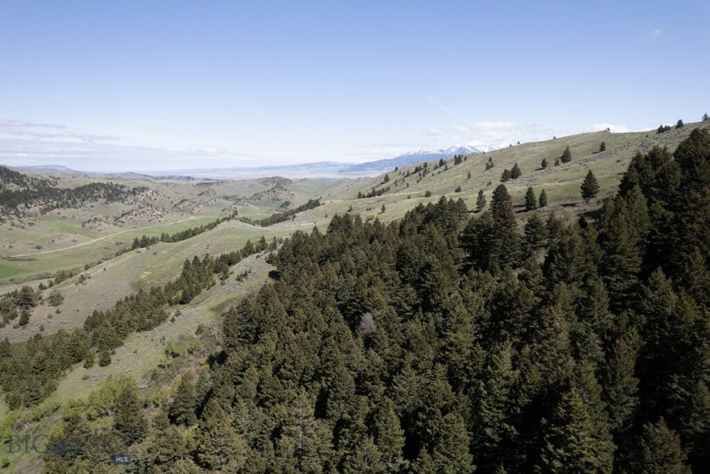 TBD O’Rea Creek Road (Parcel 4), Livingston MT 59047