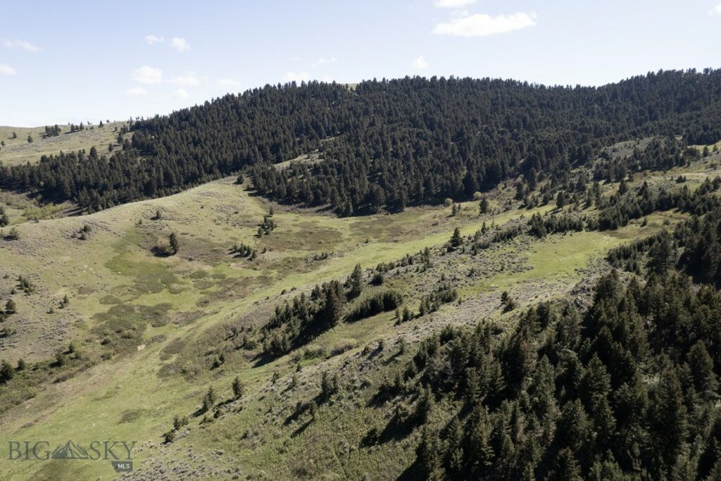 TBD O’Rea Creek Road (Parcel 4), Livingston MT 59047