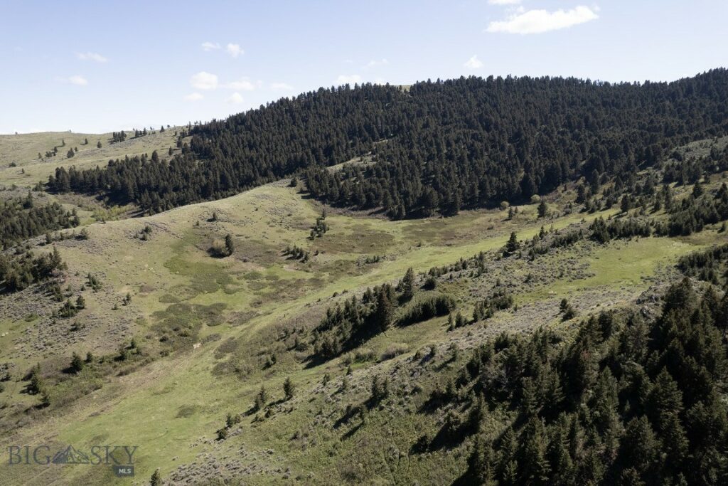 TBD O’Rea Creek Road (Parcel 4), Livingston MT 59047