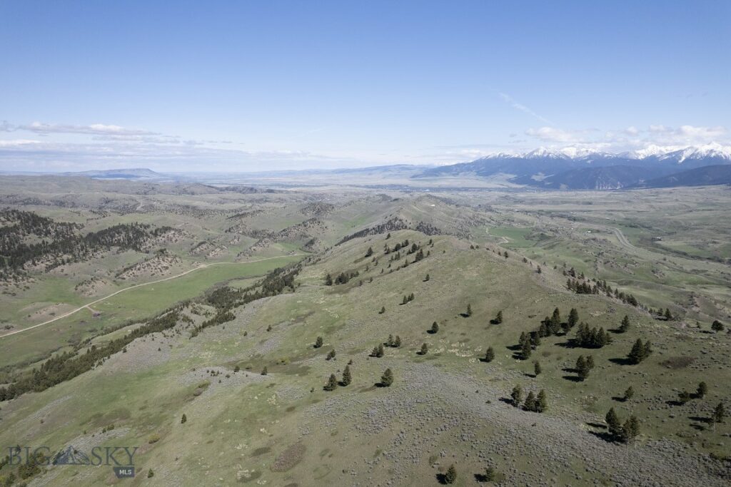 TBD O’Rea Creek Road (Parcel 4), Livingston MT 59047
