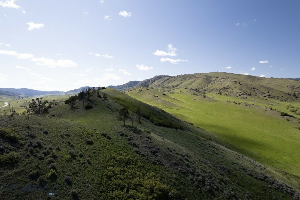 TBD O’Rea Creek Road (Parcel 4), Livingston MT 59047