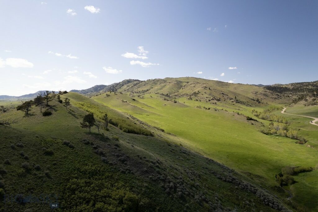 TBD O’Rea Creek Road (Parcel 4), Livingston MT 59047