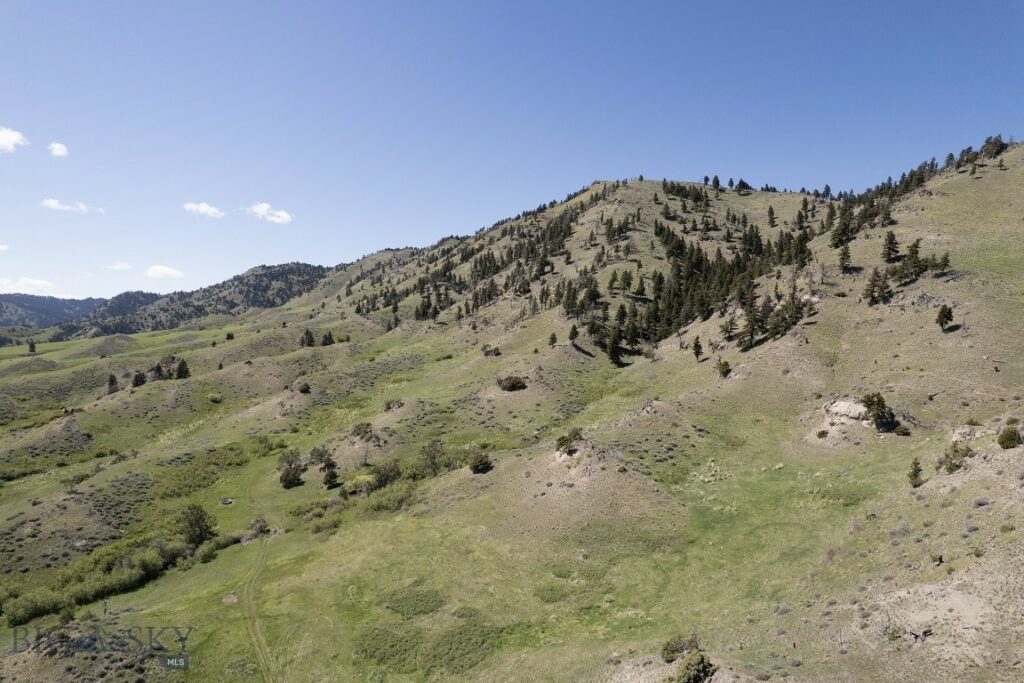 TBD O’Rea Creek Road (Parcel 4), Livingston MT 59047
