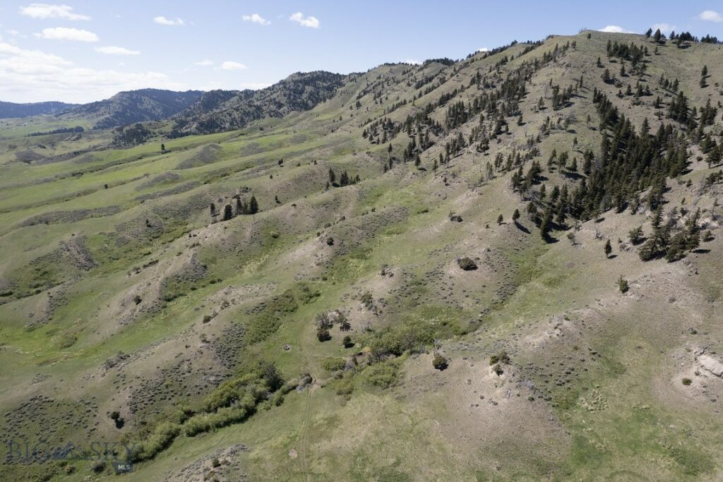 TBD O’Rea Creek Road (Parcel 4), Livingston MT 59047