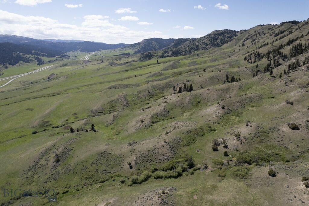 TBD O’Rea Creek Road (Parcel 4), Livingston MT 59047