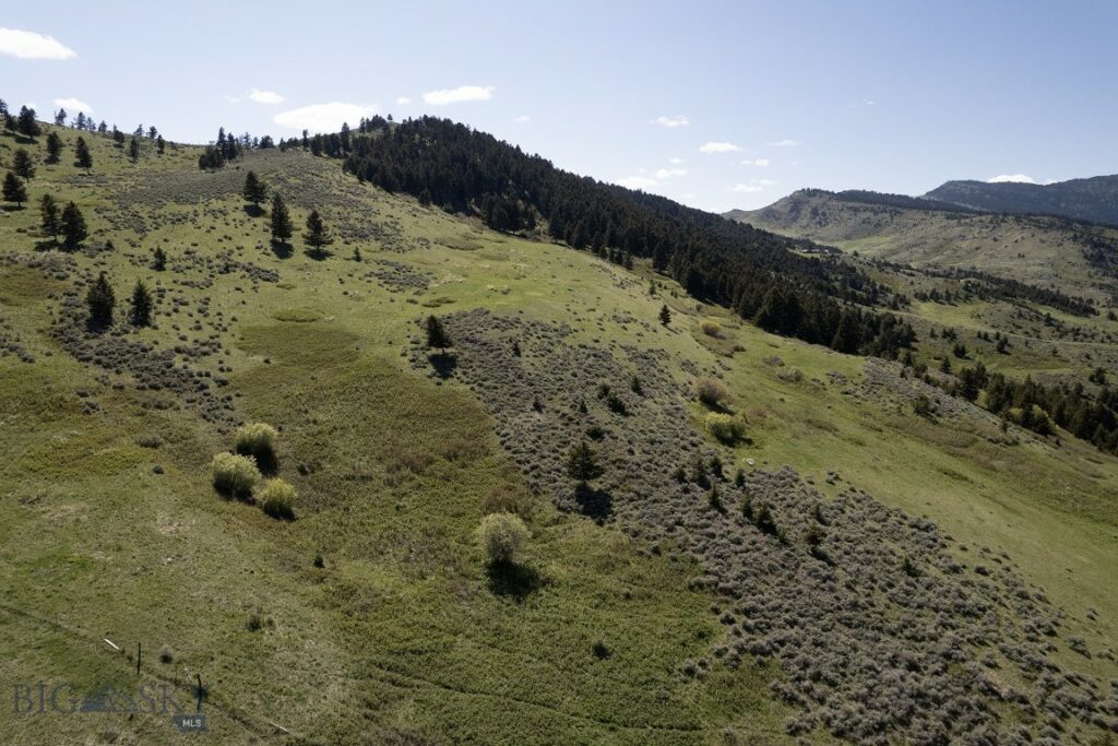 TBD O’Rea Creek Road (Parcel 5), Livingston MT 59047