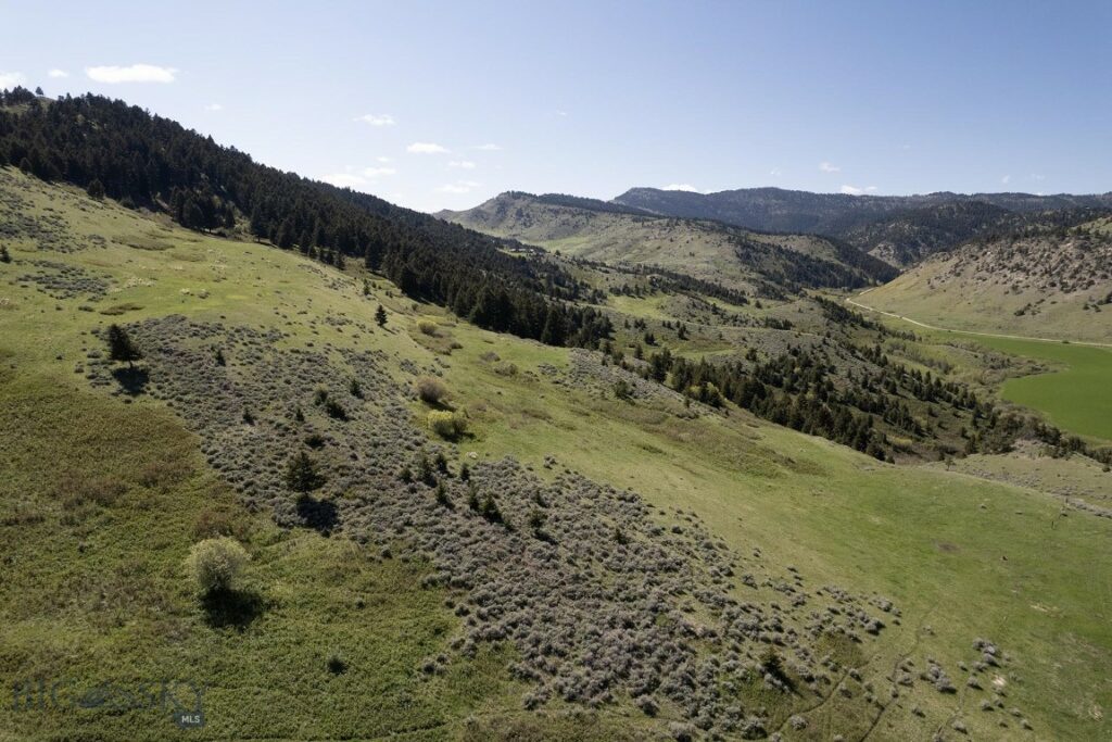 TBD O’Rea Creek Road (Parcel 7), Livingston MT 59047