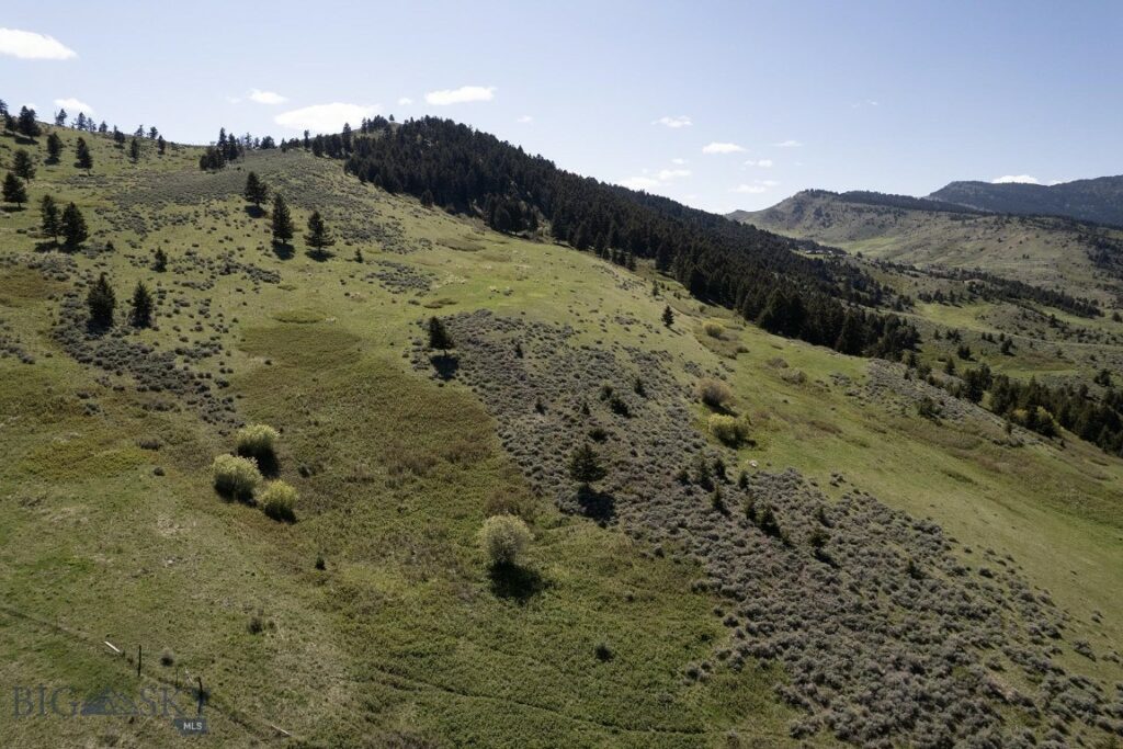 TBD O’Rea Creek Road (Parcel 7), Livingston MT 59047