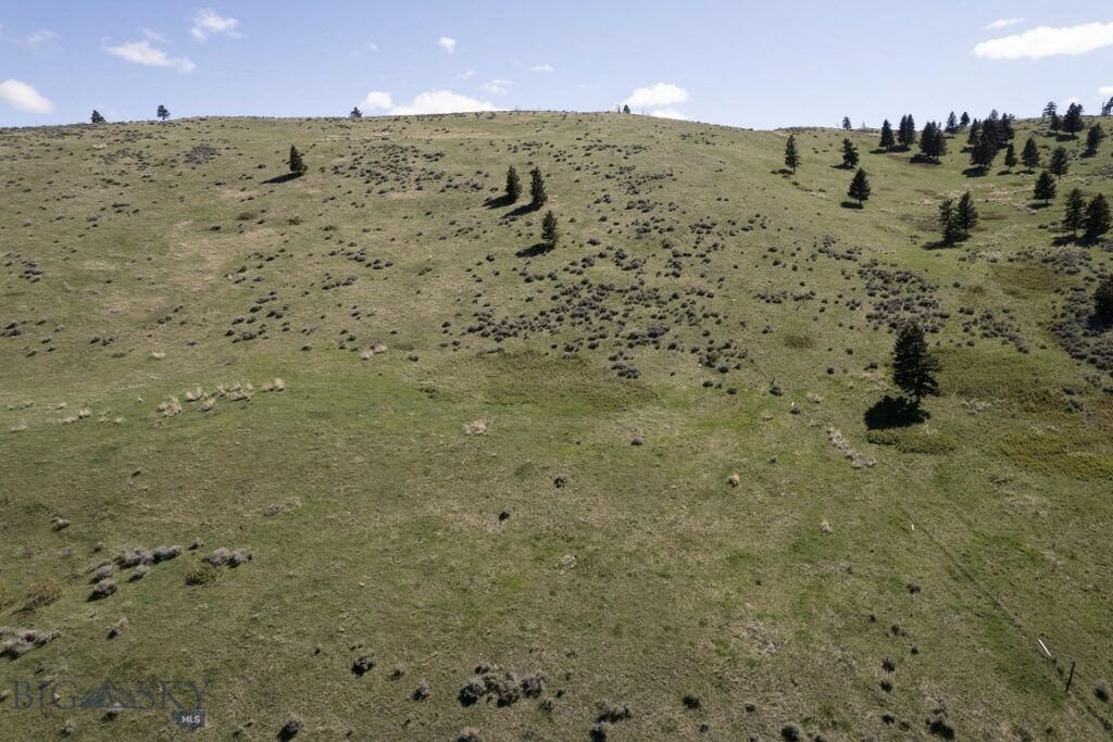TBD O’Rea Creek Road (Parcel 7), Livingston MT 59047