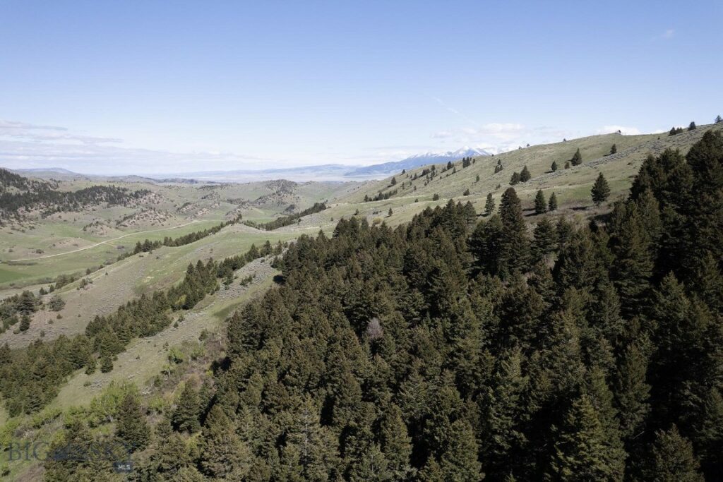 TBD O’Rea Creek Road (Parcel 7), Livingston MT 59047