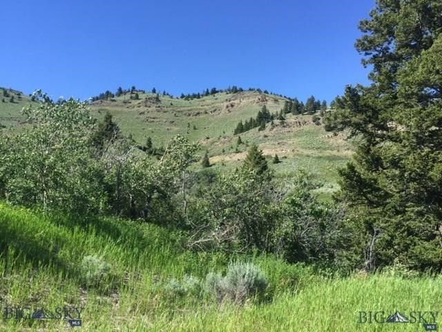 TBD PAINTBRUSH Way, Livingston MT 59047