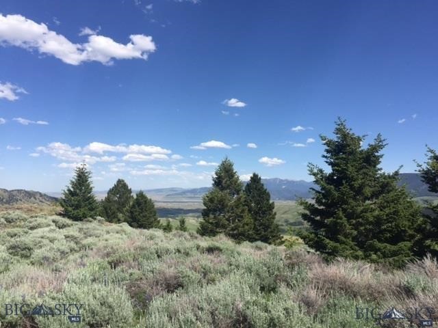 TBD PAINTBRUSH Way, Livingston MT 59047