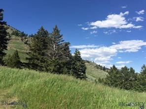 TBD PAINTBRUSH Way, Livingston MT 59047