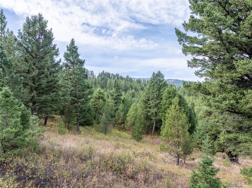 TBD Parcel 1 Woodchuck Road, Bozeman MT 59715