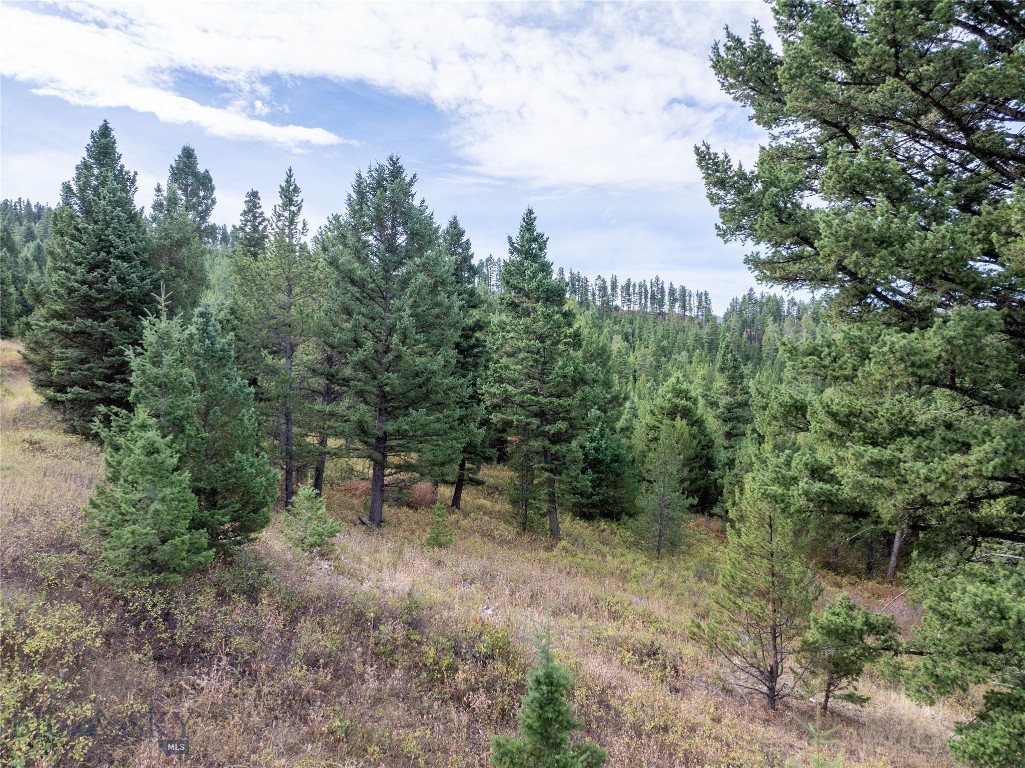 TBD Parcel 1 Woodchuck Road, Bozeman MT 59715