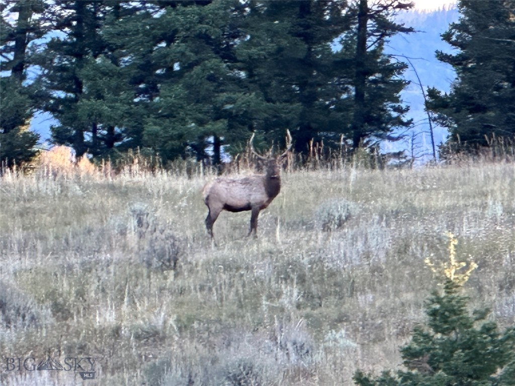 TBD Parcel 2 Woodchuck Road, Bozeman MT 59715