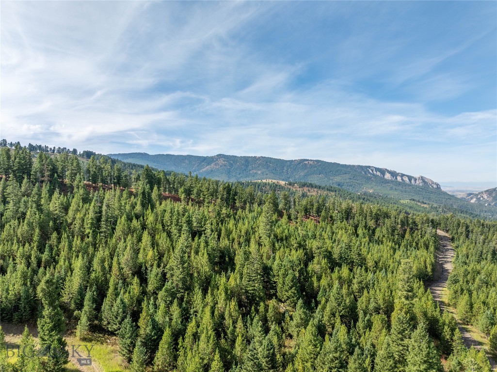 TBD Parcels 1 & 2, Woodchuck Road, Bozeman MT 59715