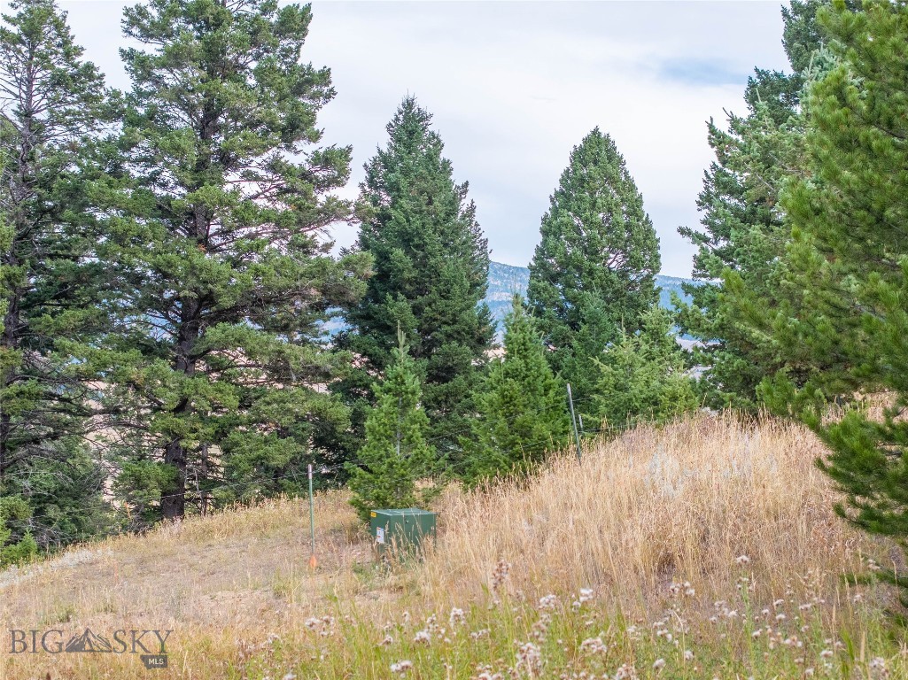 TBD Parcels 1 & 2, Woodchuck Road, Bozeman MT 59715