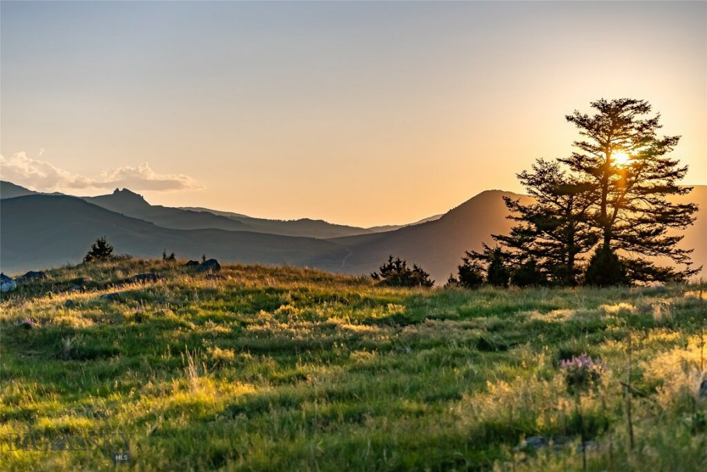 TBD Pine Creek (Luccock Park Rd), Livingston MT 59047