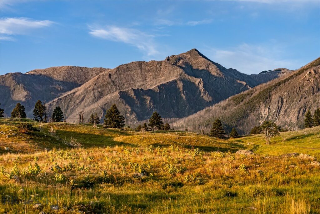 TBD Pine Creek (Luccock Park Rd), Livingston MT 59047