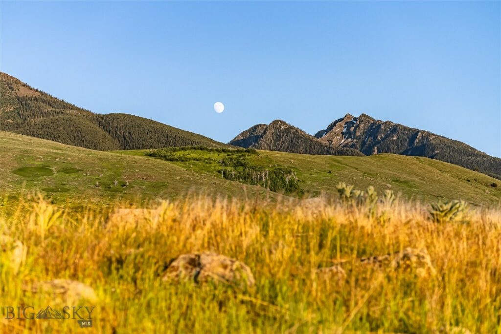 TBD Pine Creek (Luccock Park Rd), Livingston MT 59047