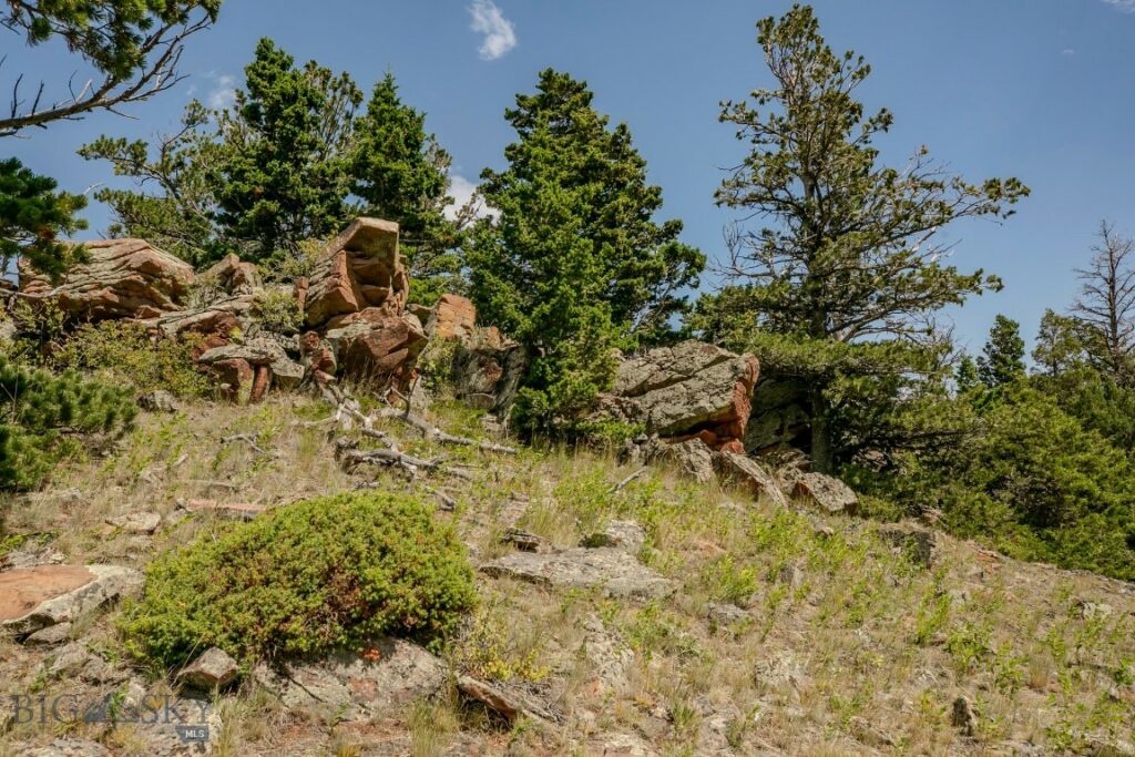 TBD Rainbow Hill Road, Livingston MT 59047