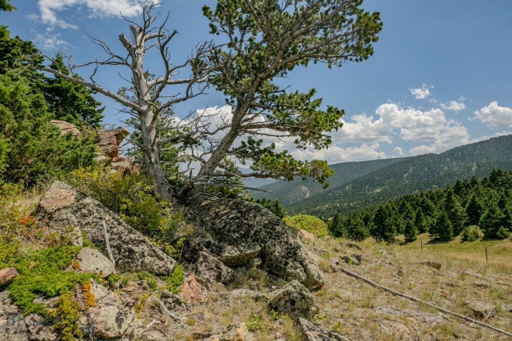 TBD Rainbow Hill Road, Livingston MT 59047