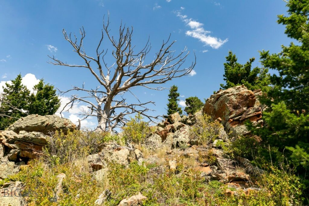 TBD Rainbow Hill Road, Livingston MT 59047