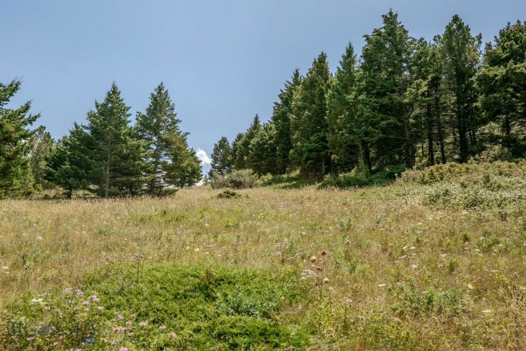TBD Rainbow Hill Road, Livingston MT 59047
