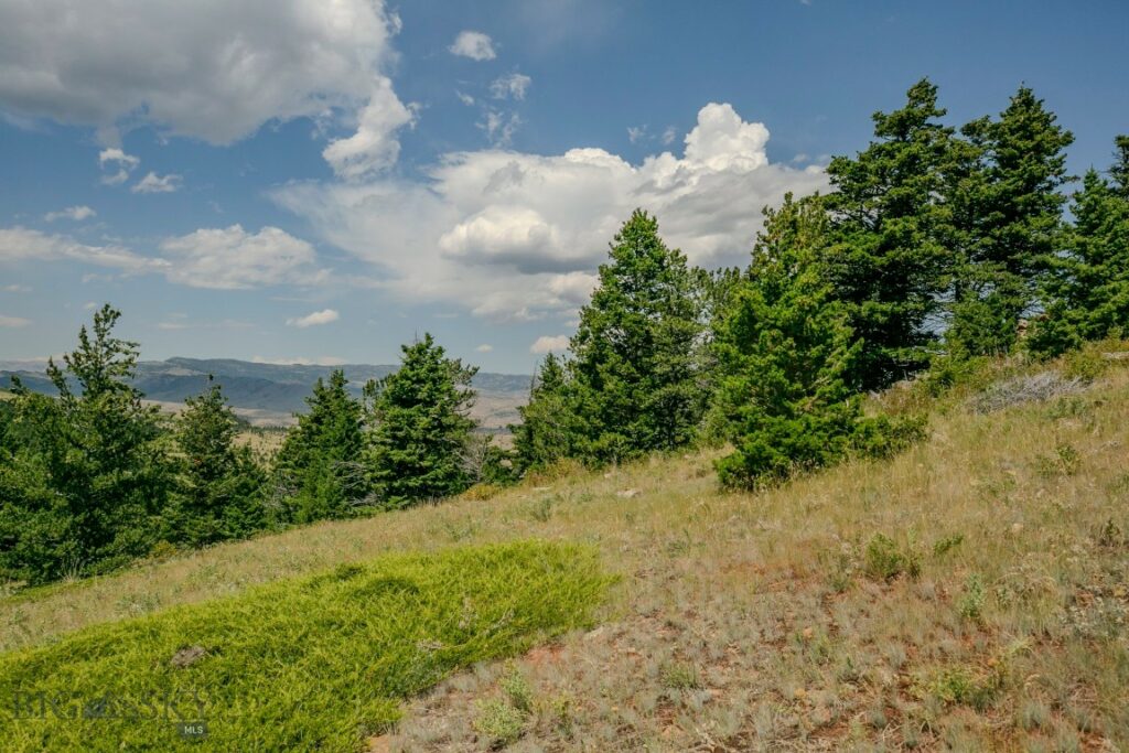 TBD Rainbow Hill Road, Livingston MT 59047