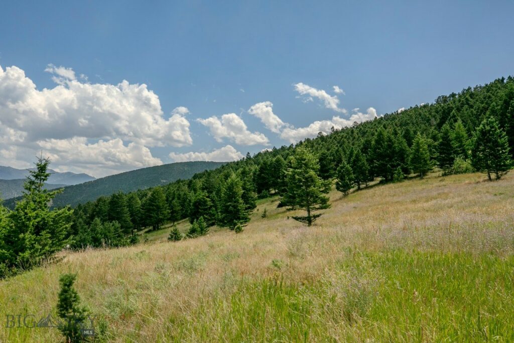 TBD Rainbow Hill Road, Livingston MT 59047