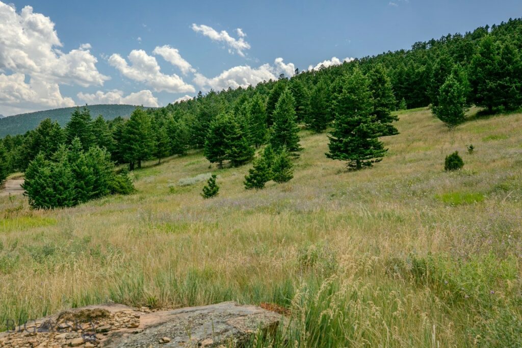 TBD Rainbow Hill Road, Livingston MT 59047