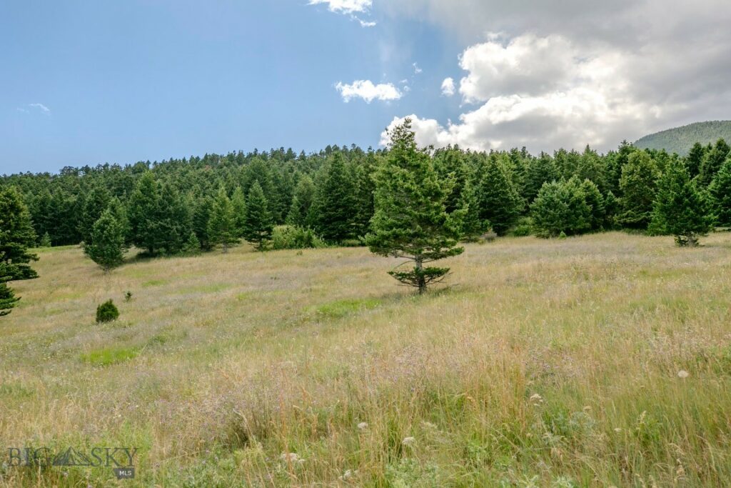 TBD Rainbow Hill Road, Livingston MT 59047